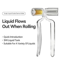 Kimairay Portable Rouleau Derma 0,25 mm à Usage Domestique avec Guide Liquide Dispositif de Soin pour la Croissance des Cheveux et de la Barbe Masseur de Cuir Chevelu