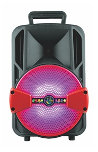 8 英寸便携式音箱 8 英寸派对音箱带麦克风的音响箱 - Product Image 3