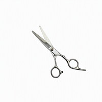 Ensemble professionnel de 2 outils de coiffure, ciseaux à effiler de 6 pouces en acier inoxydable, ciseaux droits pour couper les cheveux
