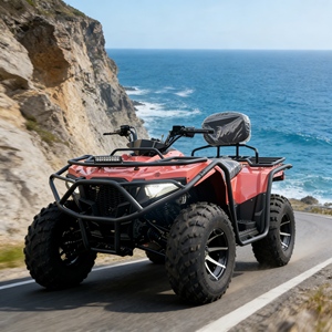 Buggy Todoterreno 4x4 de Alta Calidad en Oferta, Buggy Todoterreno de 250cc con Tracción en las 4 Ruedas para Escalar Dunas de Arena - Product Image 3