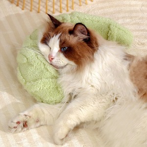 2025 mới đến trong nhà vật nuôi trang trí phòng mềm mèo Gối không dễ dàng biến dạng hoặc vỡ - Product Image 3