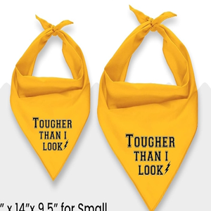 Bandana pour chien ajustable unisexe, mouchoir triangle, bavoir jaune imprimé «Born Run», accessoire de vêtements pour animaux de compagnie lavable et mignon - Product Image 6