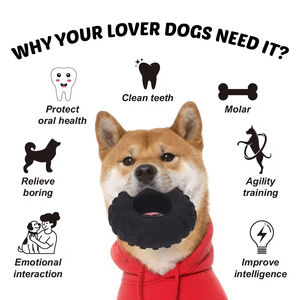 <span class=keywords><strong>AFP</strong></span> özel dinozor köpek çiğnemek oyuncak-agresif Chewers ve diş sağlığı için TPR lastik top ile Bite dayanıklı peluş - Product Image 5