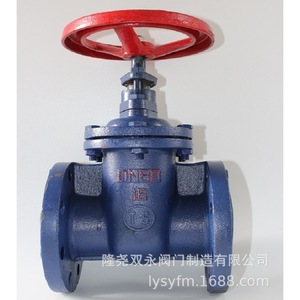 Vanne à opercule Longyao Shuangyong DN80 16 bars en fonte à brides pour l'eau - Product Image 3