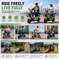 Vélo de route électrique urbain 14 pouces 350W 48V, trottinette électrique pour adulte, kit de vélo électrique - Offre Spéciale