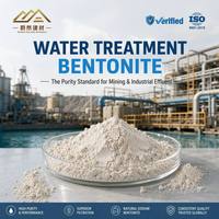 Poudre de bentonite pour le traitement des eaux usées, poudre sans granulats 1250 Mesh, haute pureté de montmorillonite