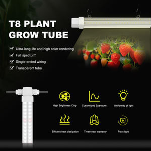 Luz LED Quadrada para Cultivo de Plantas, Tomate, Morango e Vegetais, à Prova d'Água, Espectro Completo para Agricultura Vertical e Estufas - Product Image 5