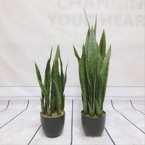 ต้นบอนไซเทียมทำจากพลาสติก/ต้นซัสเวีย/อากาเว70ซม./90ซม. สีเขียว-เหลือง - Product Image 2