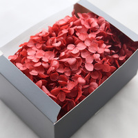 TC, venta al por mayor, flor natural preservada, boda, decoración del hogar, Día de San Valentín, Hortensia eterna de Anna para regalo de novia