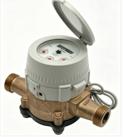 Compteur d'eau à piston à aubes, corps en laiton, sortie impulsionnelle, compteur d'eau volumétrique à piston DN15 DN20, débitmètre d'eau froide résidentiel