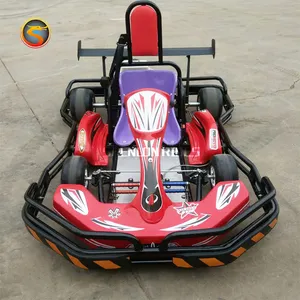 Adult 200CC 270CC Racing Kart Electric Go Karting for Kids