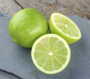 100% Limones sin semillas frescos naturales Vietnam Venta al por mayor Agricultura Premium Suministro de calidad superior - Product Image 5