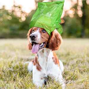 Nouveau sac de promenade pour chien personnalisé, sac bandoulière avec sac d'entraînement personnalisé et distributeur de sacs à crottes - Product Image 5