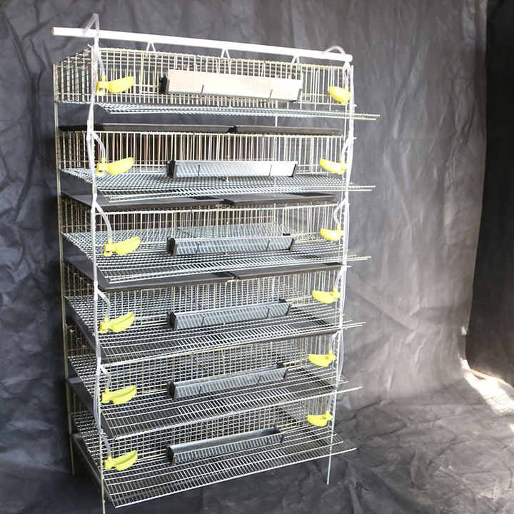 Quail Cage Size