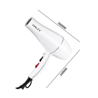Sèche-cheveux HALEY blanc avec poignée pliable, embout concentrateur compact, 2 vitesses, fonction air froid, léger, idéal pour dortoir, voyage et usage quotidien
