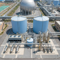 Réservoir de Fermentation Anaérobie, Digesteur de Biogaz, Réacteur pour le Traitement des Eaux Usées et des Boues, Système d'Équipement Industriel