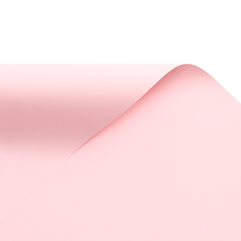 Rose fleur de cerisier