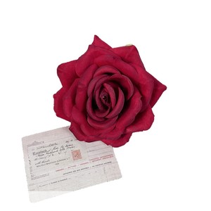 Cabezas de Rosas Artificiales DIY de Plástico y Tela para Accesorios de Boda, Horquillas, Coronas Florales y Decoraciones - Product Image 5