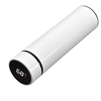 Bouteille intelligente mini personnalisée 2025 en acier inoxydable avec affichage LED de température, chargement USB et isolation thermique 24h - Vente en gros