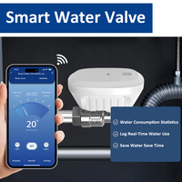Vanne à boisseau sphérique électrique DN20 pour le contrôle du débit d'eau, motorisée, avec surveillance de la température et du débit, contrôle à distance via l'application Tuya WiFi