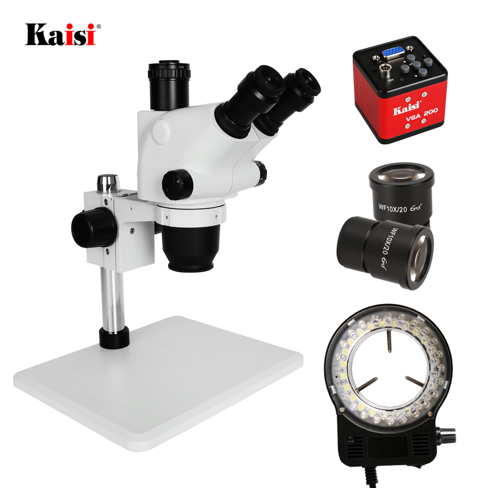 Kaiyo マL 30匹ヤSS 10匹 ラSM 15匹S 15匹 Kaiyo様専用ヤワゲSS10匹マウスL30匹ラットS15匹S M15匹 【公式通販】