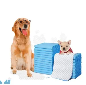2024畅销中国供应商宠物狗配件一次性小狗宠物训练狗尿垫狗快速吸收