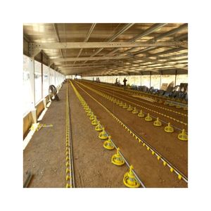 Struttura in acciaio a basso costo pollaio strato allevamento di anatre tettoie per allevamento di pollame - Product Image 1