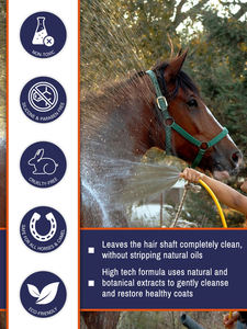 Champú para Caballos con Aroma a Manzana Personalizado, Champú y Acondicionador Natural para el Cuidado de Caballos - Product Image 3