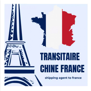 货运代理海运代理从中国进口到法国美国英国德国Ddp门到门Fba货运服务 - Product Image 4