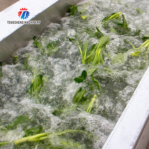 على نطاق واسع معقم الأوزون الفواكه والخضروات التجارية ulettuce غسالة غسالة أوتوماتيكية - Product Image 6