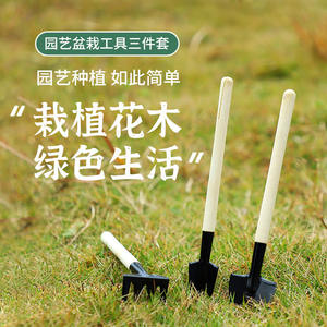 Juego de tres piezas para jardín, mini herramientas con mango de madera para plantas en maceta, flores, suculentas, jardinería en el hogar - Product Image 1