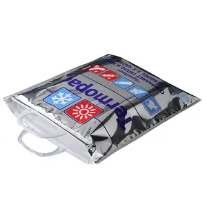 LDPE Aluminum Foil Insulation Bag Fruit Fresh Barbecue Pizza Thickened Takeout Packaging Refrigerated PE Preservation Bag