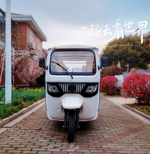 Triciclo Elettrico EEC con Tettuccio per Passeggeri, Tuk-Tuk per Brevi Distanze, Triciclo per Tour Turistici e Panoramiche - Product Image 6