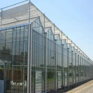Agricultural design china wholesale double glass hydroponics system greenhouse