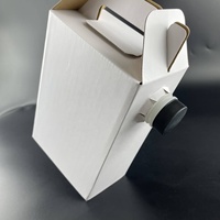 Distributeur de liquide Bag-in-Box personnalisé 1L/2L/3L/5L avec valve Vitop – Emballage plastique
