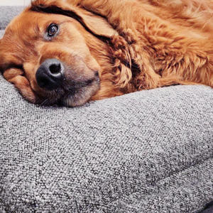 Diseño de lujo Durable extraíble grande lavable personalizado ortopédico Boucle impermeable espuma viscoelástica cama para perros - Product Image 2