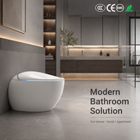 Inodoro Inteligente con Sensor Automático, Bidé, Control Remoto, Diseño Moderno de Cerámica, Asiento Electrónico de Una Pieza de Lujo