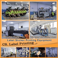 Étiquettes en vinyle adhésives amovibles personnalisées, étiquettes brillantes imperméables, étiquettes pour imprimante numérique, étiquettes à impression rapide, étiquettes à motifs combinés