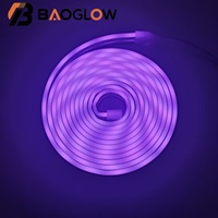 Tira de Luces LED RGBIC de Neón con Control Remoto, Resistentes al Agua IP67, USB 5V, Cambio de Color, para Decoración de Festivales al Aire Libre