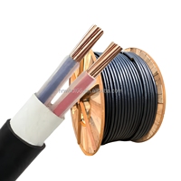 Cu/XLPE/PVC 4mm² 2-adriges unarmiertes N2xy Kupfer-Stromkabel U-1000 R2V Kabel