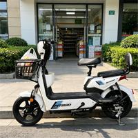 Vélo Électrique Adulte en Gros Direct Usine, Scooter Électrique 2 Places Homologué CE pour Trajets Urbains Quotidiens, Achat en Gros