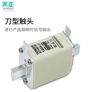 Fusible Tengen Rt16z 00 de 100A, Montaje en Panel Cerámico, Bajo Voltaje, Unipolar - Product Image 1