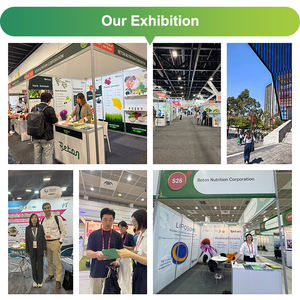 Preço Atacado Natural Extrato De Algas Vermelhas Em Pó Extrato De Algas Vermelhas Em Pó - Product Image 6