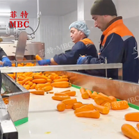 MBC CE-gecertificeerde grote capaciteit wortelschiller, cassave-, aardappel-, bieten- en groenteschiller en -wasser