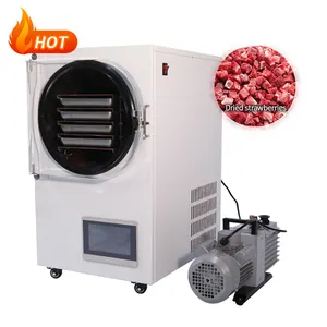 Factory Price Laboratory Vacuum Freeze Dryer Lyophilizer