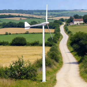 Dispositivos de Alineación de Viento ES-L-1KW de Eje Horizontal Pequeño de 1kw, 2kw, 3kw, Estándares Europeos, Ajuste Automático - Product Image 1