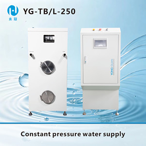 Sistema de Purificación de Agua por Ósmosis Inversa Integrado YONG GUAN YG-TB/L-250 250L/h, Sistema Completo de Tratamiento de Agua Mini - Product Image 4