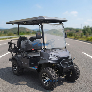 Nouveau design, voiturette de golf noire, chariot de golf électrique classique pour le tourisme, meilleur prix du fabricant, voiturette de golf à vendre - Product Image 1