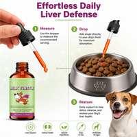 Chardon-Marie Liquide pour Chiens – Gouttes pour la Santé du Foie et des Reins, Huile de Saumon d'Alaska Oméga-3, Curcumine, Aide à la Détoxification 60ml