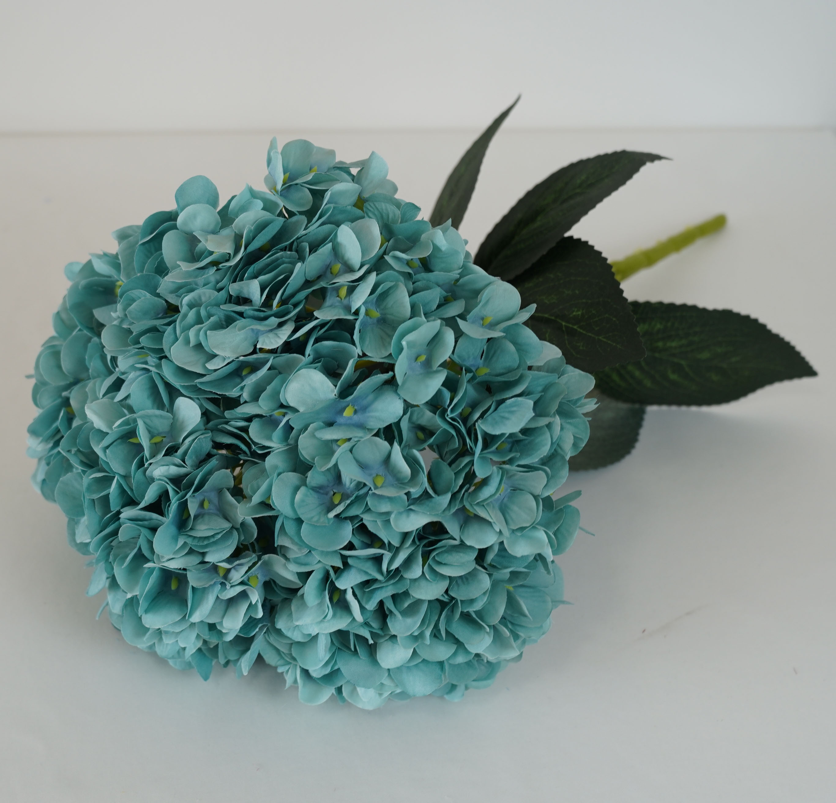 Bleu clair